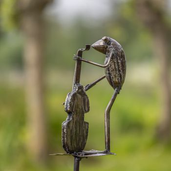 Kikker blad cello